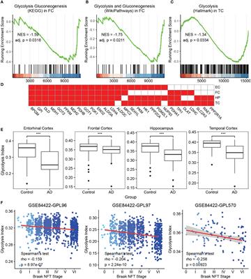 The significance of glycolysis index and its correlations with immune infiltrates in Alzheimer’s disease